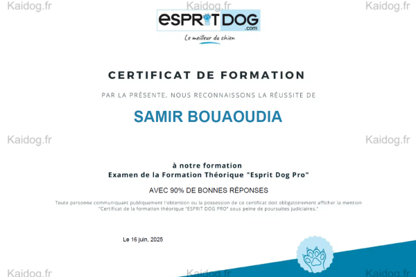 diplome esprit dog_filigranne